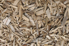 biomass boilers Woodbank